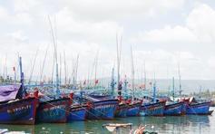 Chống khai thác IUU, Gia Lai buộc 650 tàu cá nằm bờ