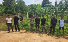 Khởi tố 5 đối tượng cướp điện thoại, đem cầm cố lấy tiền mua bia ăn nhậu