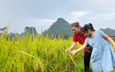 Vẽ tương lai xanh bằng những hành động nhỏ