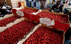 Mỹ giáng đòn mới lên Mexico, EU chuẩn bị đáp trả