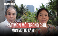 Bình Quới – Thanh Đa sắp thay áo mới: Người dân 'mong mà chưa dám mừng sớm'