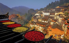 Ngôi làng trên núi ở Việt Nam vào top đẹp nhất châu Á