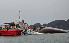 22 tỉnh, thành phố nhận 'lệnh' rà soát hoạt động du lịch ứng phó bão số 3