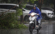 Bão số 3 (Wipha): Hà Nội và 5 tỉnh trong vùng trọng tâm mưa lớn 600 mm