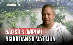 Bão số 3 (Wipha) khiến Thanh Hóa ngập sâu, người dân sợ mất mùa

