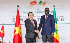Củng cố nền tảng hợp tác Việt Nam - Senegal