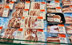 Giá heo hơi hôm nay 24.7.2025: Mất đến 7.000 đồng/kg