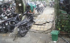 TP.HCM: Cây xanh lớn bật gốc sau mưa, người dân lo ngại nguy cơ đổ ngã