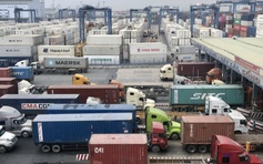 Chính phủ chỉ đạo khẩn trương chuẩn hóa các thủ tục xuất khẩu trước 31.7
