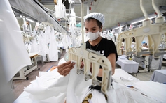 Số doanh nghiệp khởi nghiệp cao kỷ lục