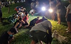 Người dân Huế thắp đèn, phát cỏ tìm nhẫn kim cương cho du khách nước ngoài