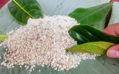 Hương vị quê hương: Ăn khoai chà 'tám' chuyện cũ