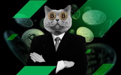 'Cá voi' Bitcoin thời Satoshi thức giấc sau 14 năm ngủ đông