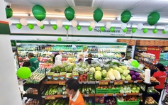 Saigon Co.op báo cáo về vụ bị cấm đấu thầu 3 năm