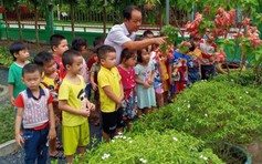 Đưa cây xanh, hoa cỏ vào không gian trường học