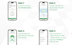 Chưa chuyển sang tài khoản giao thông sau 1.10, chủ xe có bị phạt?