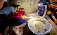 Gia Lai: Rùa biển nở ở bãi biển xã đảo Nhơn Châu