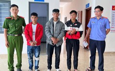 Phá nhanh vụ trộm 273 gốc sâm Ngọc Linh ở vùng cao Đà Nẵng