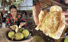 Ăn trái sa kê chín thành 'trend' mạng xã hội: Vị ra sao mà nhiều người tò mò?