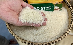 Giải pháp nào giữ vững vị trí 'á quân thế giới’ về xuất khẩu gạo?