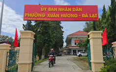 Lâm Đồng: Chưa giải quyết cho nghỉ theo Nghị định 178 những người không giữ chức vụ
