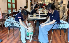 Quán cà phê lúc nào cũng đông kín khách nhờ những 'nhân viên' đặc biệt này...