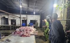 TP.HCM: Công an bắt quả tang lò mổ heo lậu, hoạt động sát nghĩa trang