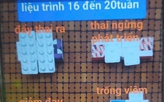 Uống thuốc phá thai mua trên mạng xã hội, thai phụ băng huyết, hôn mê