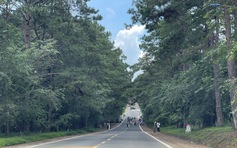 Măng Đen làm gì để thu hút 2,5 triệu lượt khách?