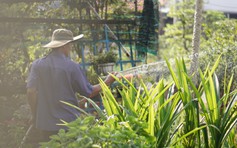 Bài học đầu tiên về tiết kiệm điện của cha từ thiên nhiên bình dị