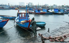 TP.Đà Nẵng chủ động ứng phó áp thấp nhiệt đới, cảnh báo giông sét