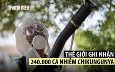 WHO cảnh báo bệnh chikungunya có thể ảnh hưởng hàng tỉ người