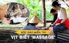 Độc đáo đàn vịt biết ‘massage’ ở miền Tây