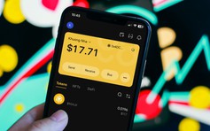 Nhiều doanh nghiệp blockchain lần lượt rời thị trường Việt Nam