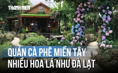 Giới trẻ thích mê quán cà phê miền Tây có nhiều hoa lá như Đà Lạt