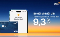 Bộ đôi Sinh Lời VIB – Giải pháp tài chính tối ưu dòng tiền đến 9,3%