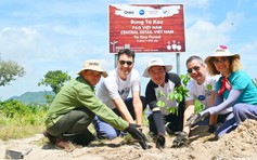 P&G và Central Retail chung tay trồng rừng tại Tà Kóu