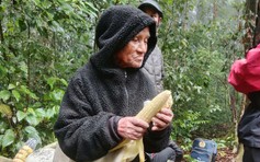 Cụ ông 78 tuổi sống sót kỳ diệu sau 6 ngày lạc giữa rừng sâu