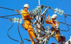 Thanh tra Chính phủ trả lời kiến nghị cử tri