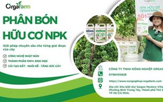 Vì sao nông dân chuyển sang hữu cơ?