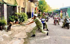 Tử vong vì chủ quan với chó nhà