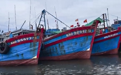 Ngắt giám sát hành trình, 4 thuyền trưởng tàu cá bị phạt gần 900 triệu đồng