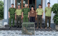 Khỉ mốc quý hiếm đi lạc vào nhà dân ở Hưng Yên