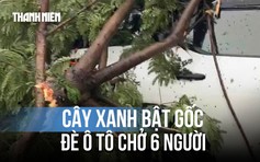 Hoảng hồn cây xanh bật gốc đè ô tô chở 6 người, có cụ ông 85 tuổi