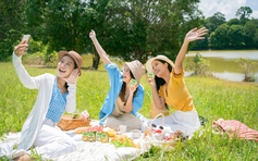 ĐẠM LÀNH TỪ ĐẬU NÀNH: DINH DƯỠNG CHO TRÁI TIM KHỎE