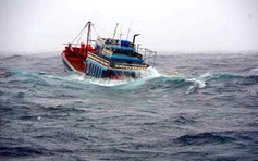 8 ngư dân mất tích, Gia Lai lập sở chỉ huy tìm kiếm