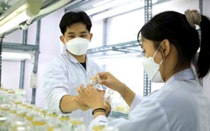 Liêm chính khoa học chính thức vào luật: Khoa học VN chuyển từ 'lượng' sang 'chất'?