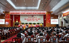 Đồng Tháp phấn đấu đạt mức thu nhập bình quân 115 triệu đồng/người/năm