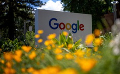 Google bị buộc bồi thường 425 triệu USD