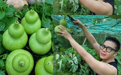 Chàng trai miền Tây và hành trình kỳ diệu...